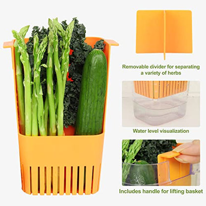 LUVCOSY 3 Pack Herb Keeper, BPA-Free Plastic Herb Saver with an Inner Basket for Cilantro, Mint, Parsley, and Asparagus, Keeps Fresh Herbs for 3 Times Longer - color: Herb Keeper - Green & Orange & Blue