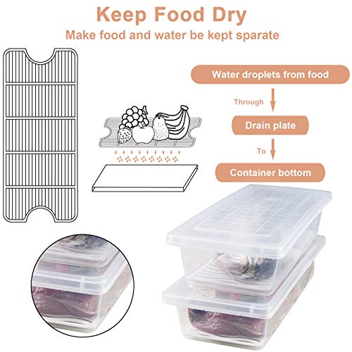 4PCS Food Storage Container, Plastic Food Containers Small | [With Removable Drain Plate and Lid], [Stackable Portable Freezer Storage Containers]-Tray to Keep Fruits, Vegetables, Meat - size: Small(4PCS)