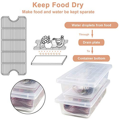 4PCS Food Storage Container, Plastic Food Containers Small | [With Removable Drain Plate and Lid], [Stackable Portable Freezer Storage Containers]-Tray to Keep Fruits, Vegetables, Meat - size: Small(4PCS)
