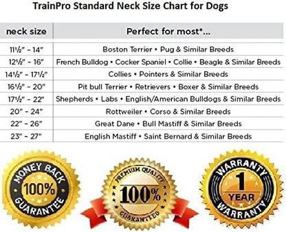 Waterproof TPU Replacement Strap for Dog Training Collar, 27.5 in - color: Orange Reflect