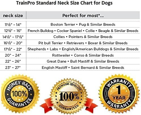 Waterproof TPU Replacement Strap for Dog Training Collar, 27.5 in - color: Pink Reflect