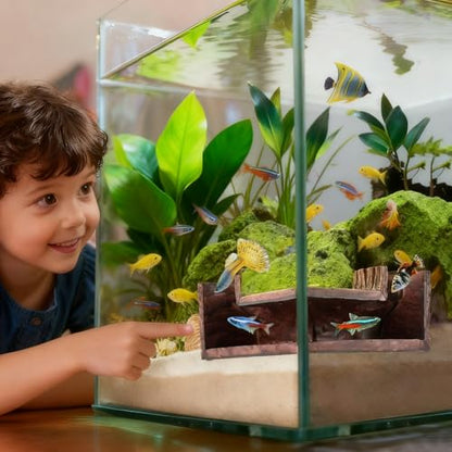Aquarium Cave, Dual Hole Underground Resin Stump Fish & Shrimp Hideout Tunnel, Natural-Looking Wood-Like Fish Hideout for Aquarium for Betta, Loaches, Corydoras(5.3" × 5.3" × 2.6")