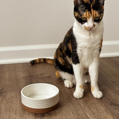 Mora Ceramic Pet Bowl Size Small - Food/Water Dish for Puppy Dogs, Cats, Guinea Pig, Rabbit, Hamster, Snake, ect. 11oz or 2 Cups - Basic Bowls for Your Dog or Cat, Mix and Match for a Set - Vanillla