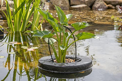 PondH2o Floating Aquatic Water Garden Pond Planter Basket, 10 Inch (26cm) Round Fabric Floatable Flower Plant Pot Aquaponics, Hydroponics, Flower Islands for Ponds and Water Features