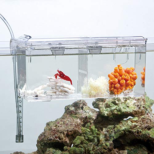 External / Hang On Plastic Aquarium Fish Breeding Box Satellite L (new)