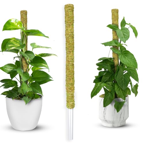1 Pack 22" Pre-Made Natural Stackable Moss Pole for Plants Monstera | Easy To Set Up, Forest Moss Stick, Monstera Plant Support, Handmade Plant Stake for Indoor Potted Plants & Climbing Plants - color: Natural 1pc