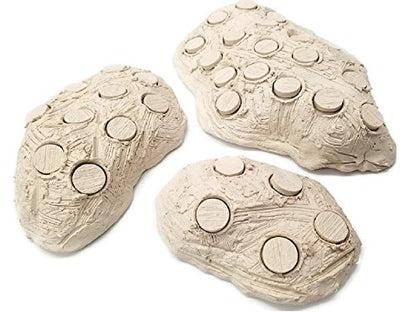Oceans Wonders Frag Station Hub 10.0 Coral Reef Plug Holder with 10 Plugs
