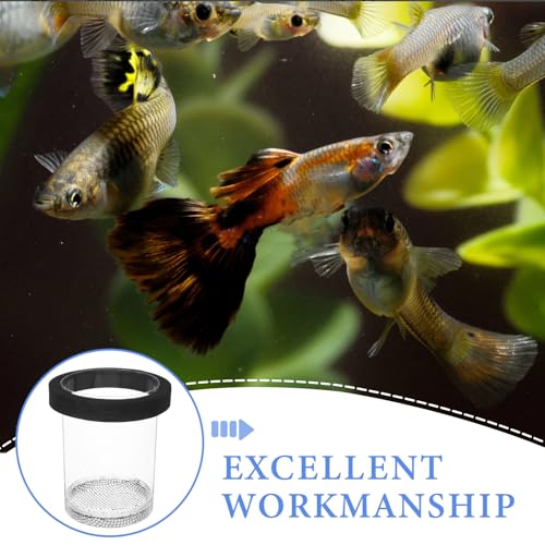 Ipetboom Floating Fish Breeding Box for Aquarium Tank - Plastic Hatching Box with Mesh Net for Baby, 5.9 X 3.9 X 3.9 in