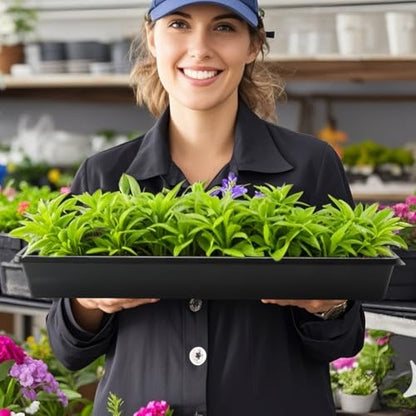 50-Pack Heavy-Duty 1020 Seed Trays No Holes, Thick Plastic Plant Flats | Reusable Growing Trays for Seed Starting, Propagation, Microgreens, Transplanting & Bottom Watering (21" x 11", 2.76" Deep) - color: Black, size: 50p 1020 Trays No Holes