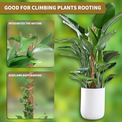 28" Bendable Plant Support Moss Pole 3 Pack for Climbing | Bendable Coco Coir,20FT Jute Rope Included,For Monstera,Pothos,Philodendron,Indoor Plant Support, Climbing & Training