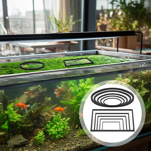 Hariendny 10 Pack Fish Feeding Ring Aquarium Floating Plant Barrier Round and Square Floating Aquarium Plant Corral Foam Fish Feeder Rings Fish-Tank Accessories for Betta Goldfish Floating-Plants