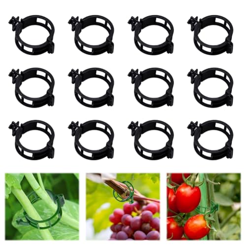 100pcs Plant Support Clips, Plastic Clips for Climbing Plants (100, Black) | Reusable Plastic Trellis Clips for Tomato, Grape Vine, Vegetables, Garden Fixing Clips - color: Black