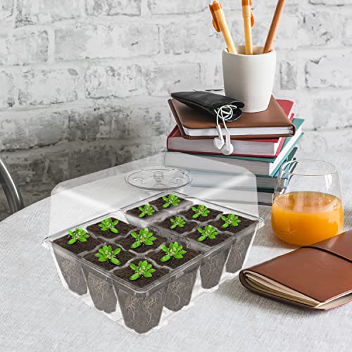 Gardzen 10 Pack Seed Starter Trays with Dome and Clear Base 120 Cell | Garden Propagator Kit with Clear Trays, 6.6"x4.5" Cells for Seed Germination, Seedlings and Indoor Plant Growing - color: Clear Trays With Clear Base