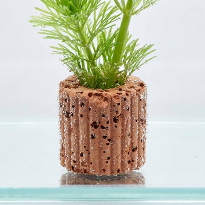 10-Pack 25mm Aquatic Plant Ring Base for Aquarium Pots | water plant holder, fish tank aquascape support, ceramic pot mount fit, plant stem secure clip, diy tank landscape