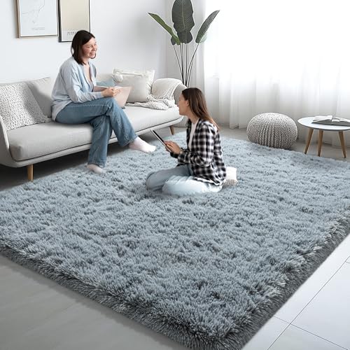 6x9 Grey Fluffy Shaggy Area Rug, Soft Plush Large Carpet for Living Room - color: Grey, size: 6' x 9' (Rectangular)