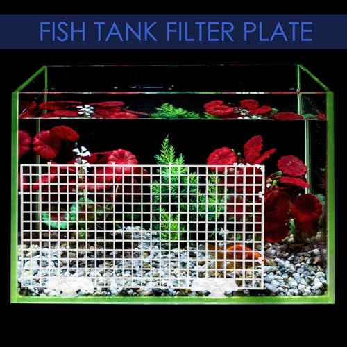 Aquarium Bottom Filter Board and Fish Tank Isolation Plate Set, Plastic Grid Divider 30x15cm with Suction Cups for Aquarium Separation and Breeding