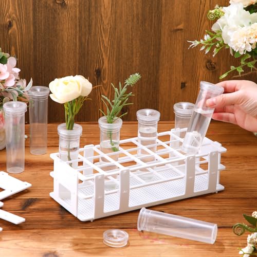 Willinglong 11 Pcs 60ml Large Floral Tubes with Rack Holder Set for Milkweed Cuttings Floral Stem Water Tubes for Fresh Flowers Raising Caterpillars Monarch Butterfly Habitat Flower Arrangements