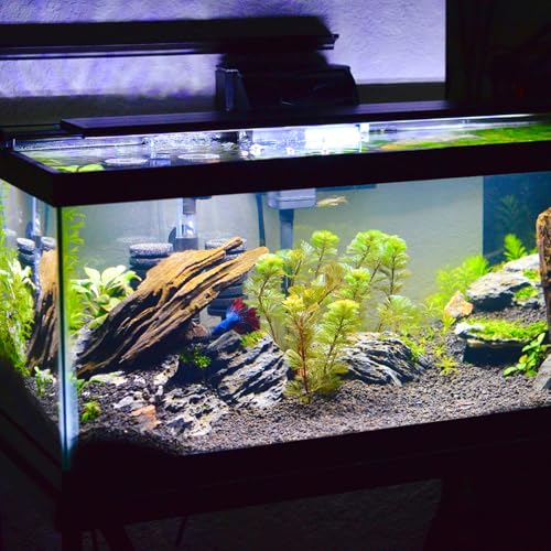 ibasenice Aquarium Leveling Mat for Under Tank, Waterproof Fish Tank Mat | 15.74X11.81X0.23In Aquarium Leveling Pad Foam Cushion Shock Absorbing Water Resistant Heat Insulation under Tank Pad