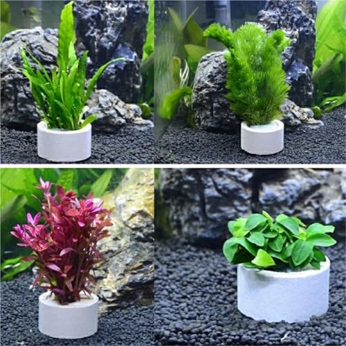 25 Sets Aquarium Water Plant Fixed Rings with Cotton Lining and Basket for Decoration