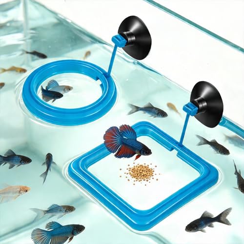 2PCS Fish Feeding Ring, EVA Aquarium Floating Plant Corral with Strong Suction Cup, 2 Sizes Fish Tank Accessories for Mini Betta Tank, Floating Plants Holder|Feeder|Corral(Round + Square)