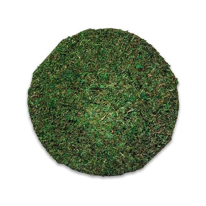 SuperMoss (26325) Moss Soil Toppers (Place Mats), Fresh Green, 16" (3 units) - color: Fresh Green, size: 16" (3 units)