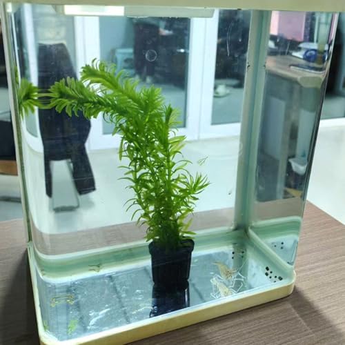 16lots Plant Container Aquariums Planting Basket for Homes and Public Aquariums Water Plant Fixing Basket - color: Black