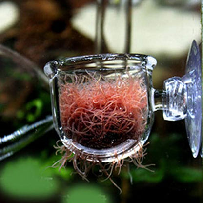 Glass Aquarium Red Worm Fish Feeder Cone Feeder Red Worm Fish Tank Plant Shrimp Feeder Cup Fish Feeding Cup with Suction for Aquarium Fish Tank