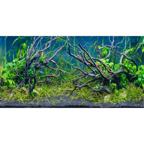72x18 inches Tropical Fish Tank Background Aquatic Plant Aquarium Backdrop | AWERT River Bed & Lake Undersea Tree Branch Terrarium Background, Vinyl - size: 72x18in/180x45cm