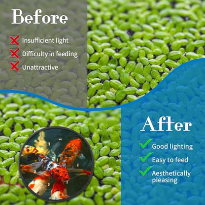 10PCS Fish Feeding Ring Set, Aquarium Floating Plant Barrier, Multi-Size Betta Feeding Rings for Fish Tank, Black Floating Food Feed-ing Rings