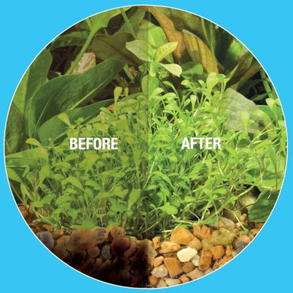 MICROBE-LIFT Gravel & Substrate Cleaner for Saltwater Aquarium and Freshwater Tanks, Tank Cleaner and Aquarium Water Conditioner, Clarifies Water, Reduces Sludge, Aquarium Supplies, 8 Ounces (GSC08) - size: 8 Ounces