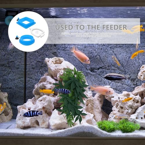 STOBAZA 3pcs Aquarium Fish Feeder Rings Floating Fish Food Dispenser Circles Reusable Blue Thickened Square Round Feeding Rings for Tanks and Betta Aquariums