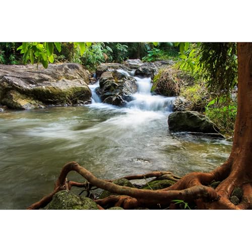 Waterfall Aquarium Background Natural Jungle Rainforest Landscape Terrarium Background Jungle Style Stream Fish Tank Background Waterfall Rainforest Reptile Habitat Background Poster Vinyl 24x12in - color: Brown Root, size: 24(W)x12(H)in