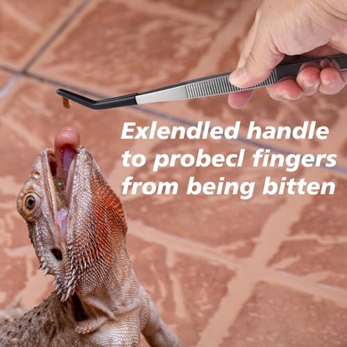 2-Pack Reptile Feeding Tongs with Soft Rubber Tips - 10" & 11.8" Extra Long Curved/Straight Aquarium Tweezers for Bearded Dragons, Snake Feeding & Terrarium Maintenance,Stainless Steel