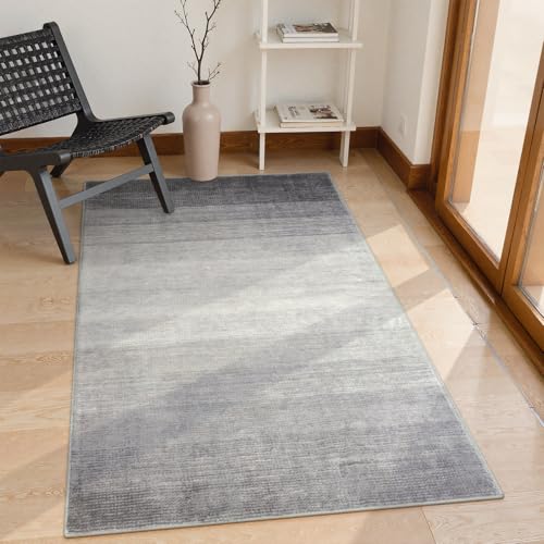 Wonnitar Washable Grey Area Rug 3x5, Modern Ombre Entry Rug Throw Rugs for Living Room, Non-Slip Contemporary Gradient Soft Rug for Bedroom Low Pile for Bathroom Kitchen Dining Mud Room (Grey, 3'x5') - color: Grey, size: 3' x 5' (Rectangular)