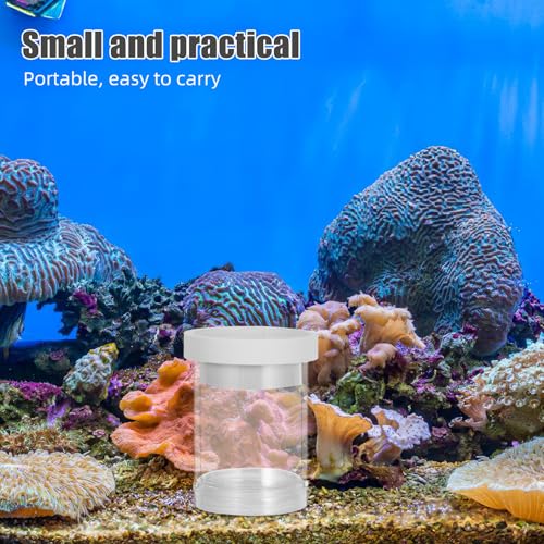 Floating Fish Breeding Isolation Box and Egg Incubator System, Small White Aquarium Hatchery Tank Divider for Guppy Fry Nursery and Fish Tank Separation