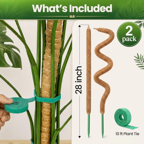 K-Brands 2pcs 28" Moss Pole Monstera Plant Support - Plant Stakes Indoor | Bendable Moss Poles for Climbing Plants, Coco Coir Pole Sticks, Monstera Trellis - size: 2-Pack (28 in)