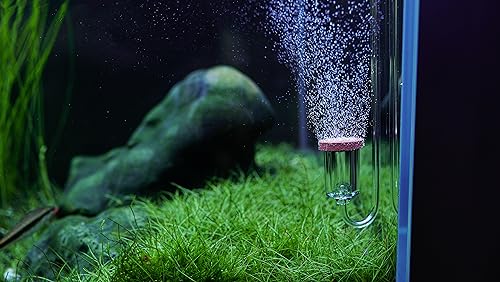 Acrylic CO2 Diffuser for Aquarium Over 50 Gallon Ceramic Disc | Acrylic diffuser, ceramic disc; fine mist - size: L-23mm