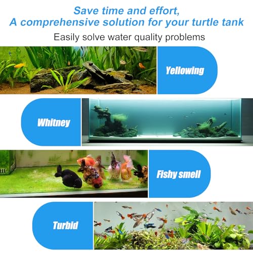 2pcs Fish Feeding Ring, Round and Square Fish Tank Feeding Ring with 4pcs Nitrifying Balls Suction Cup Aquarium Floating Food Feeder Circle for Turtle, Tortoise, Goldfish, Guppy, Koi, Puffer