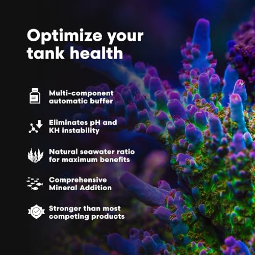 Brightwell Aquatics - Reef Code B - Balanced Calcium & Alkalinity System Water Conditioner - For All Saltwater Marine Fish & Reef Fish Tanks - Aquarium Water Treatments, 8.45 fl oz - size: 250-ml