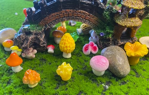 72PCS MiNi Mushroom Tiny Resin Mushroom Figurines 72 Style Mini Mushrooms Small Little Resin in Bulk for Miniature Landscape Aquarium Potted Fairy Garden Home Decor Accessories (Mushroom) - style: Mushroom