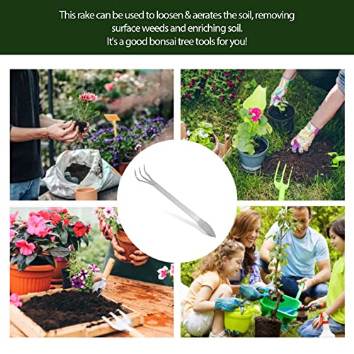 Stainless Steel 3 Prong Root Rake Pick Set, Bonsai Tool Root Pick Rake Gardening Tools