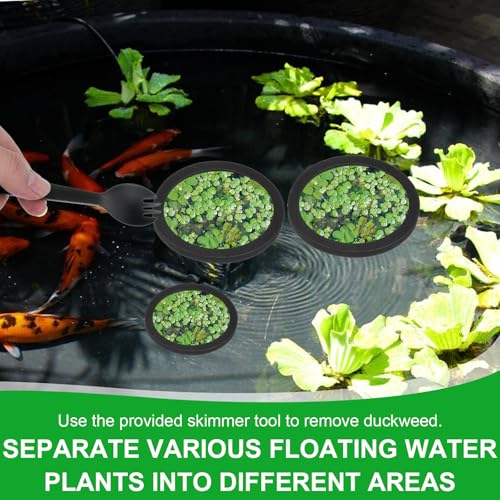 6PCS Aquarium Floating Plant Corral, Round Black EVA Fish Feeding Ring Set, Fish Tank Accessories for Mini Betta Tank, Floating Plants Holder|Feeder|Corral - style: 6 Round