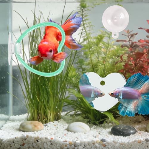 Betta Fish Toys, 2 PCS Heart Fish Exercise Ring and Nitrifying Balls Set, Heart Betta Mirror Toy Set, Feeding Ring with Suction Cup, Fishing Tank Accessories for Gifts (Green) - color: Green Heart