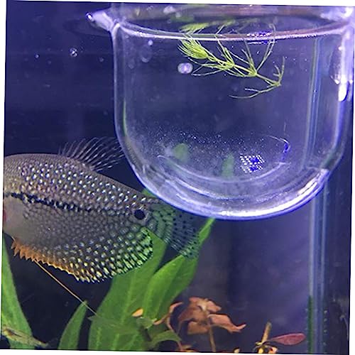 Enhance Your Aquarium Experience Glass Feeding Cups for Small Fish Aquarium Equipment Aquatic Supplies Size s - size: S