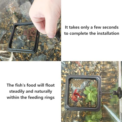 FREESEA Fish Feeding Ring for Aquarium: Square Betta Floating Feeding Ring for Fish Tank - size: Square