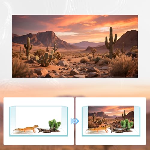3 Pack Terrarium Background Polyester Reptile Background，Gobi Sunshine Cactus Stone & Green Tree Fern Stream Terrarium (30 inches x 12 inches) - size: 30 x 12 inches