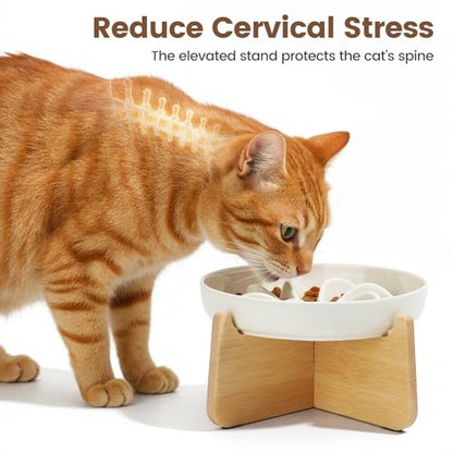 PETTOM Slow Feeder Cat Bowl with Stand, Ceramic Slow Eating Cat Bowl with Higher Edges, Elevated Cats Food Bowls for Dry and Wet Food Anti-Vomiting Puzzle Feeder for Healthy Eating Diet - color: Milky White