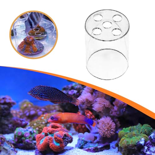 Coral Feeder Cover,Coral Feeding Breeding Protection Cover, Anti Predation for Aquarium Transparent,Protector Guard, S - size: S