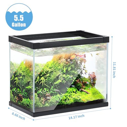 Ultra Clear Glass Aquarium Thickened Large Fish Tank -Suitable for High-end Fish Enthusiasts (5.5 Gallon, Tank) - size: 5.5 Gallon