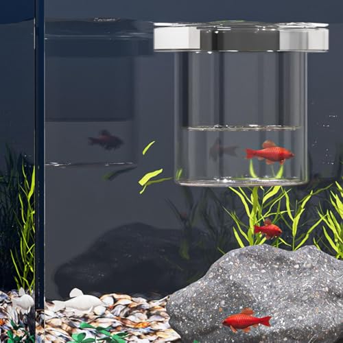 Fish Tank Breeder Box Fish Tank Isolation Box | Feeding Container Nursery Divider for Fry Guppy Acclimation Betta Angelfish Shrimp - color: Circular